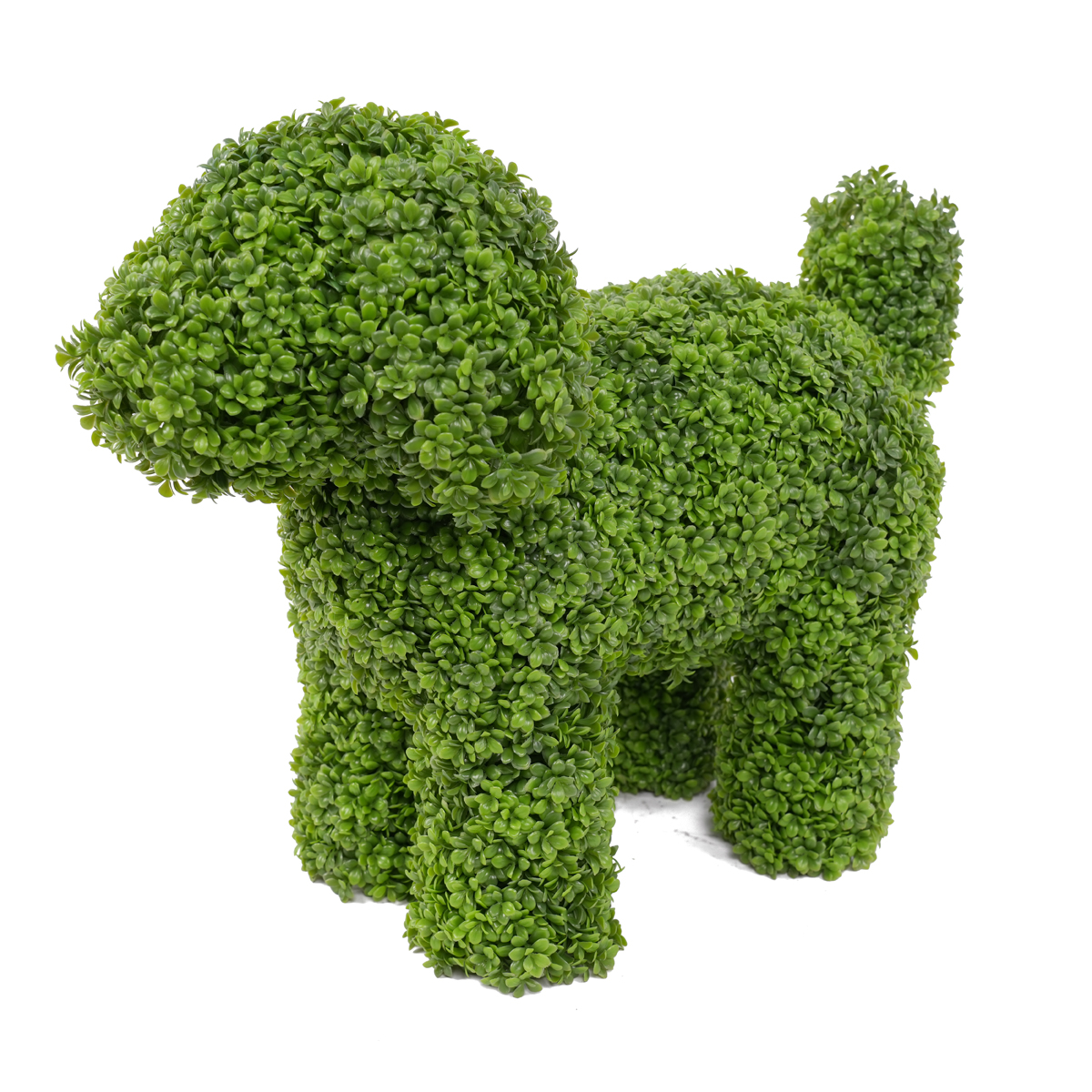 Elegant 36cm Boxwood Dog Statue Adding Charm to Your Outdoor Space-Garden Ornament