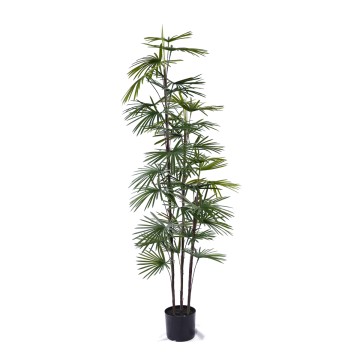 Hot Selling Artificial Kwai Tree Plastic Plant Bonsai Tree for Indoor and Outdoor Decoration H90cm Plastic Fan Sunflower Seed