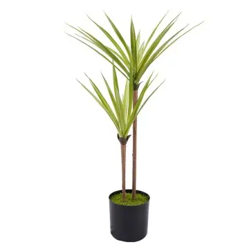 Artificial Dracaena Plant White-Green Plastic 60cm 2 Heads 30 Leaves Potted Fake Greenery Indoor Home Decor Office Decoration Plant
