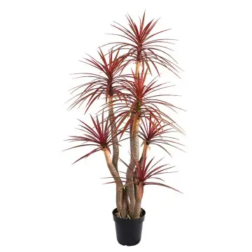 Bionic plant H155cm Red - Green Plastic Dracaena, Three Stems, 6 Heads, 234 Leaves in Pot, Cross - Border Wholesale Artificial Greenery