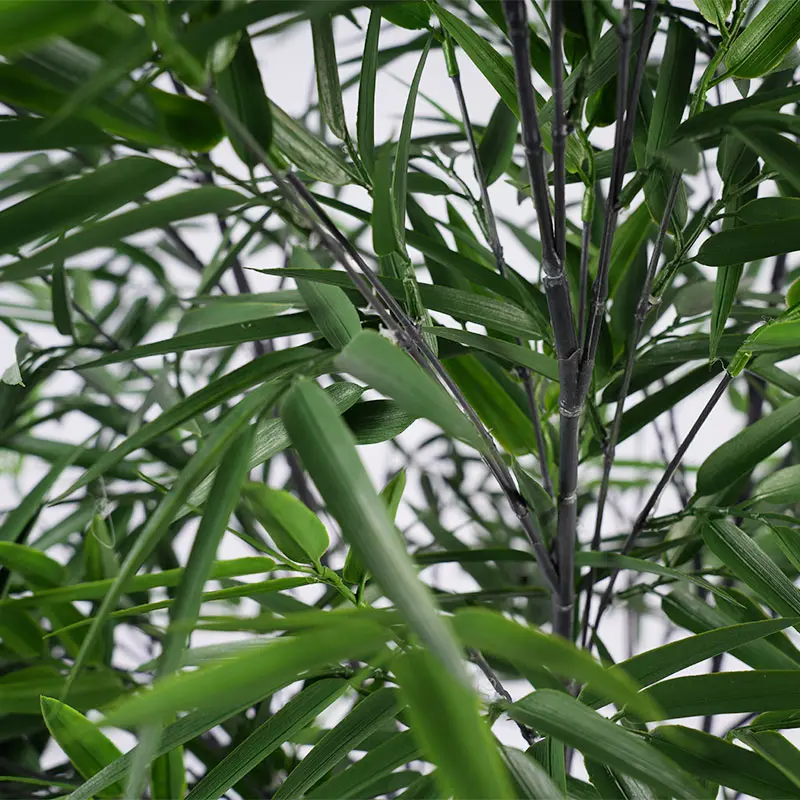 未标题-1_05.jpg