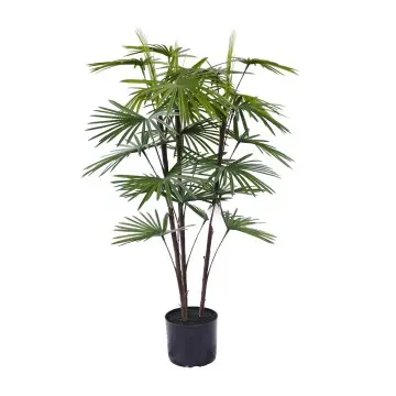 Hot Selling Beautiful Bonsai Tree Indoor and Outdoor Artificial Kwai Plastic Plant for Home or Garden