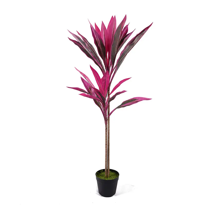 H90cm Cordyline fruticosa leaves in pot Purple-green  simulated texture