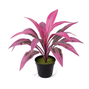 Factory direct sales H43cm Cordyline fruticosa leaves in pot Purple-green healing style