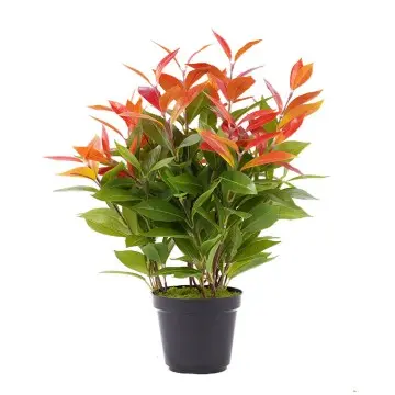 Bionic Plant H43cm Photinia Leaf Potted Plant with 292 Leaves