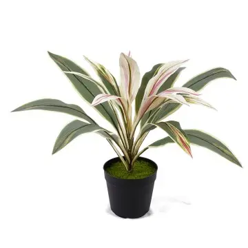 Faux Potted Plant H50cm Cordyline fruticosa leaves in pot Pink-yellow Low-Maintenance