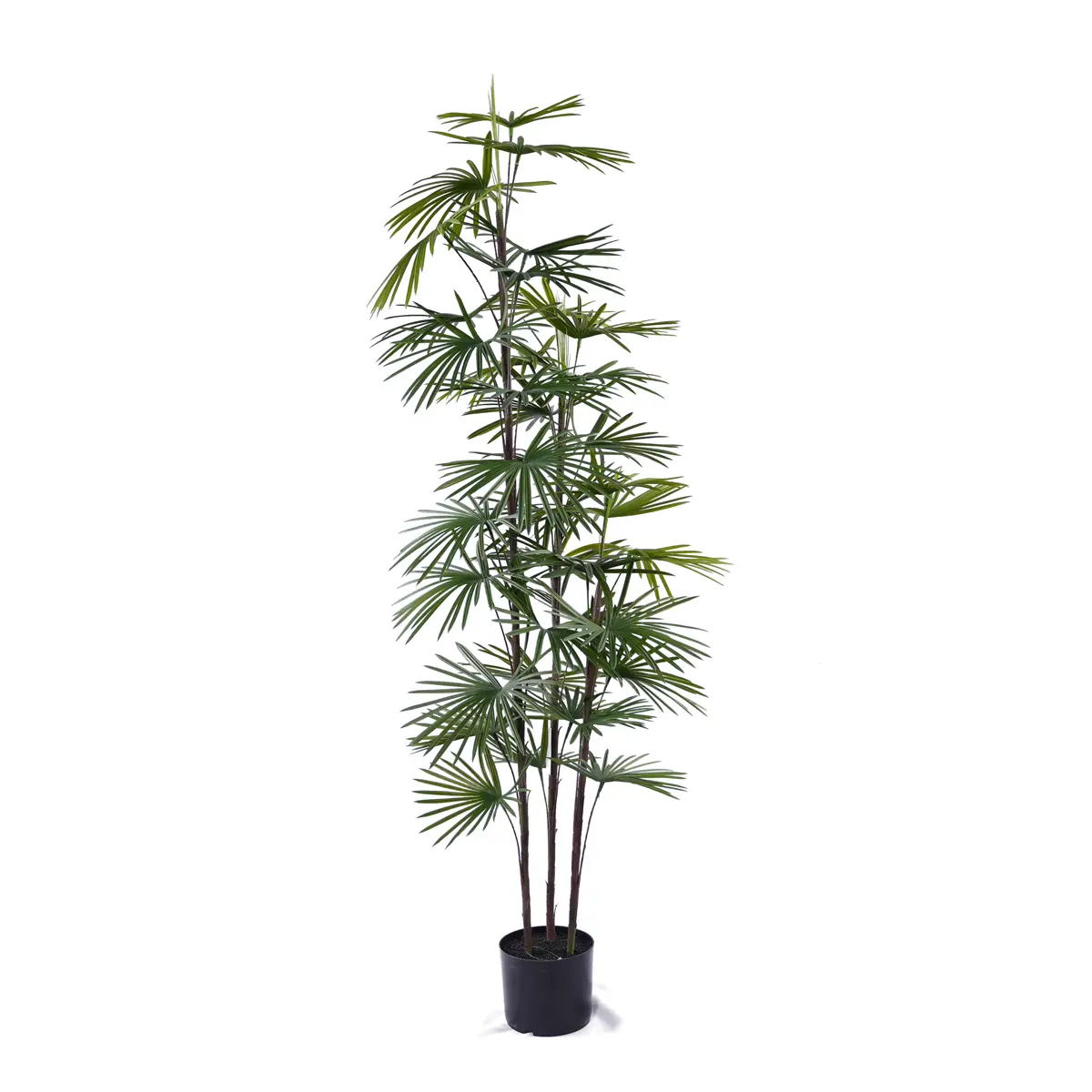 Hot Selling Artificial Kwai Tree Plastic Plant Bonsai Tree for Indoor and Outdoor Decoration H90cm Plastic Fan Sunflower Seed