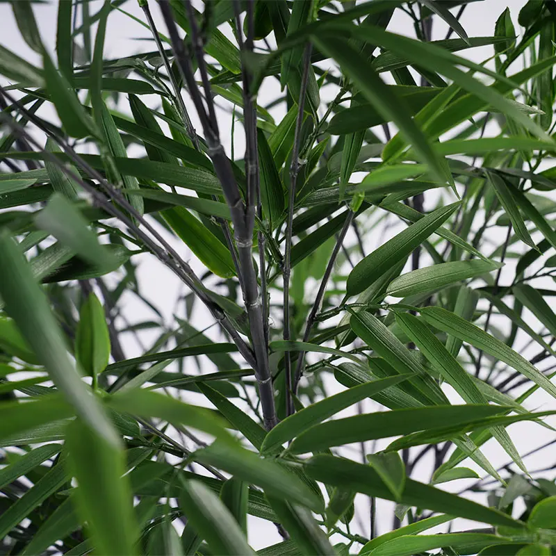 未标题-1_04.jpg
