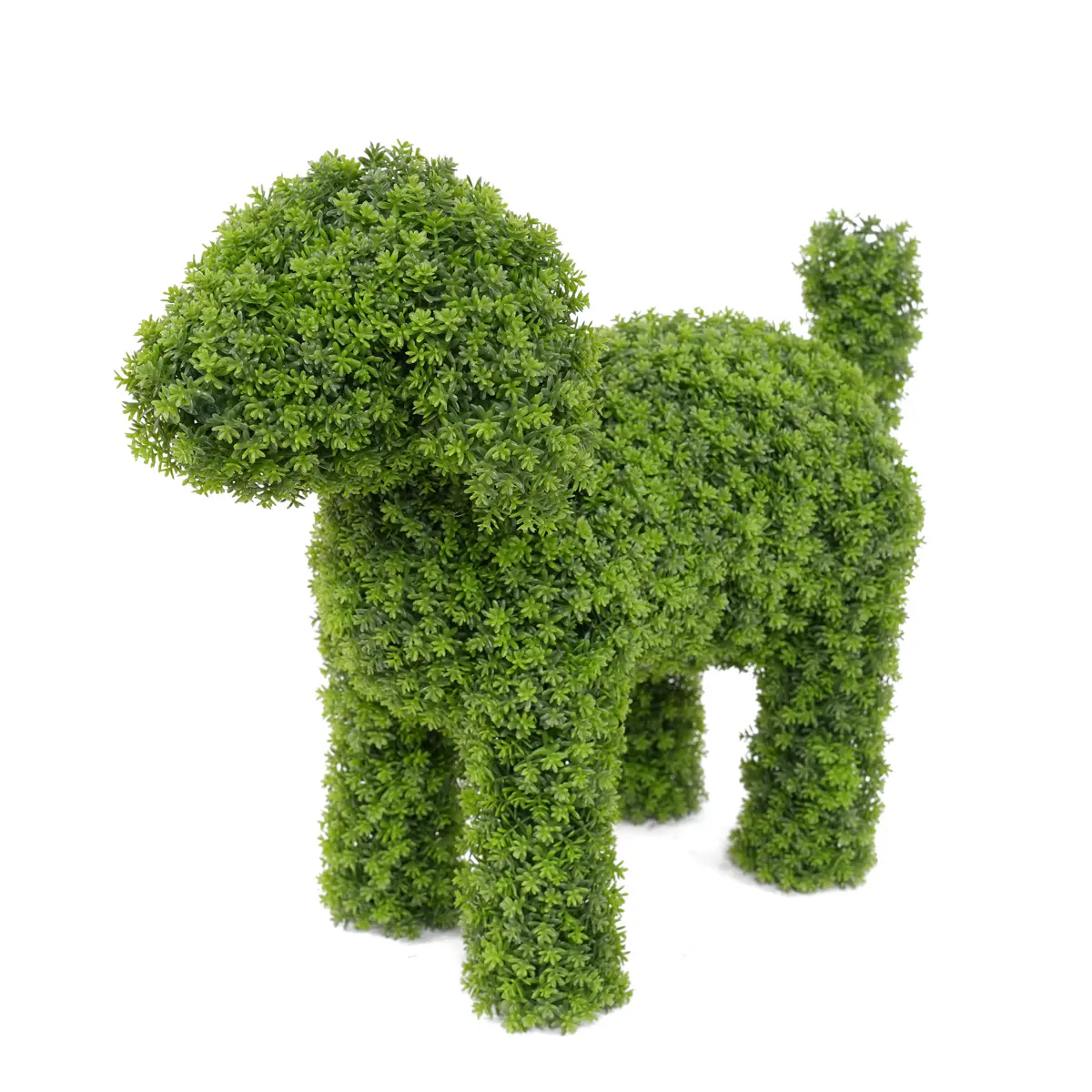 Elegant 36cm Boxwood Dog Statue Outdoor Space-Garden Ornament Made of Durable Plastic
