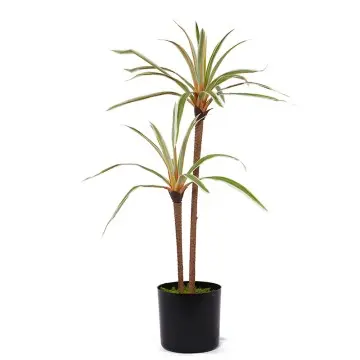 Artificial Plants tree planting pot H60cm Potted Dracaena marginata silk 2 heads and 30 leaves white and green home decorations