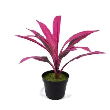 Artificial green plants H40cm Cordyline fruticosa leaves in pot Purple green Gardening supplies