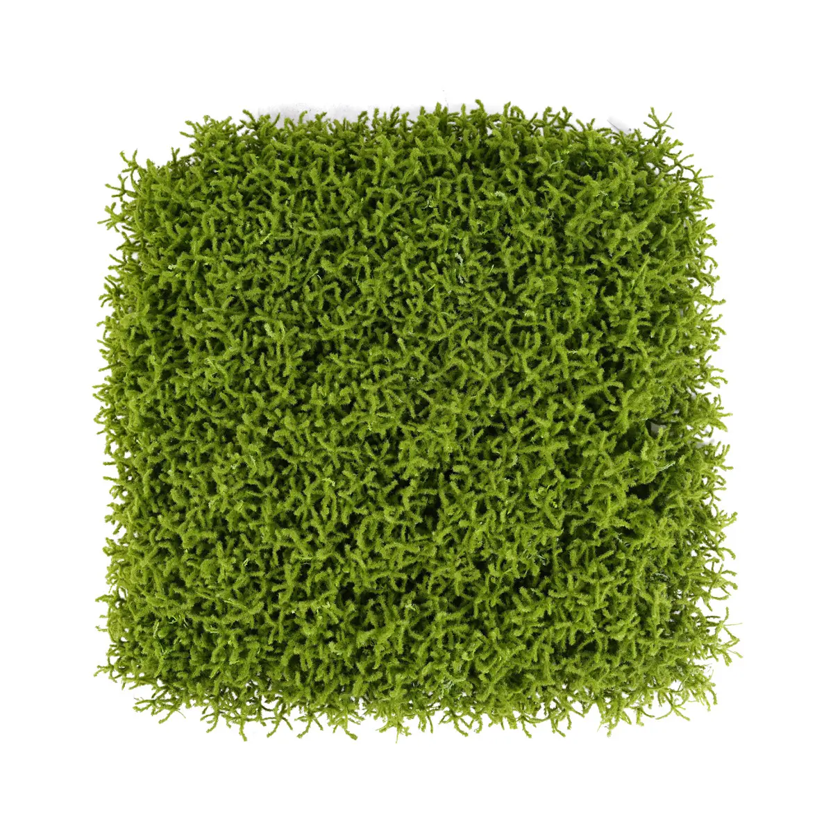 UV Protective 62*62cm Boxwood Grass Fence Mat Panels Anti-UV Artificial Foliage for Garden Ornaments Decor Green Wall Decorative