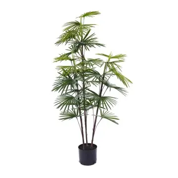 Hot Selling Indoor and Outdoor Bonsai Tree Artificial Kwai Plastic Plant Beautiful Bonsai Tree for Home or Garden