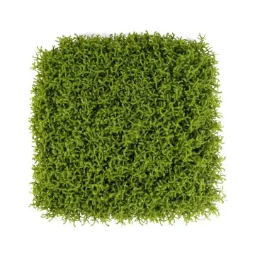 UV Protective 62*62cm Boxwood Grass Fence Mat Panels Anti-UV Artificial Foliage for Garden Ornaments Decor Green Wall Decorative