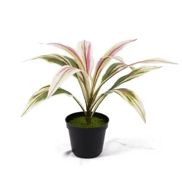 Artificial green plants H40cm Cordyline fruticosa leaves in pot Pink-yellow Gardening supplies
