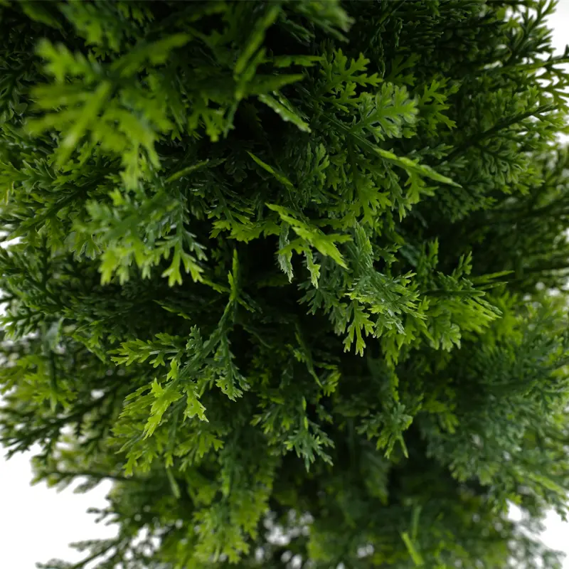 p2.jpg