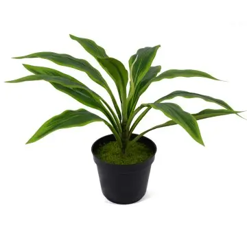 Artificial green plants H40cm Cordyline fruticosa leaves in pot Green Gardening supplies